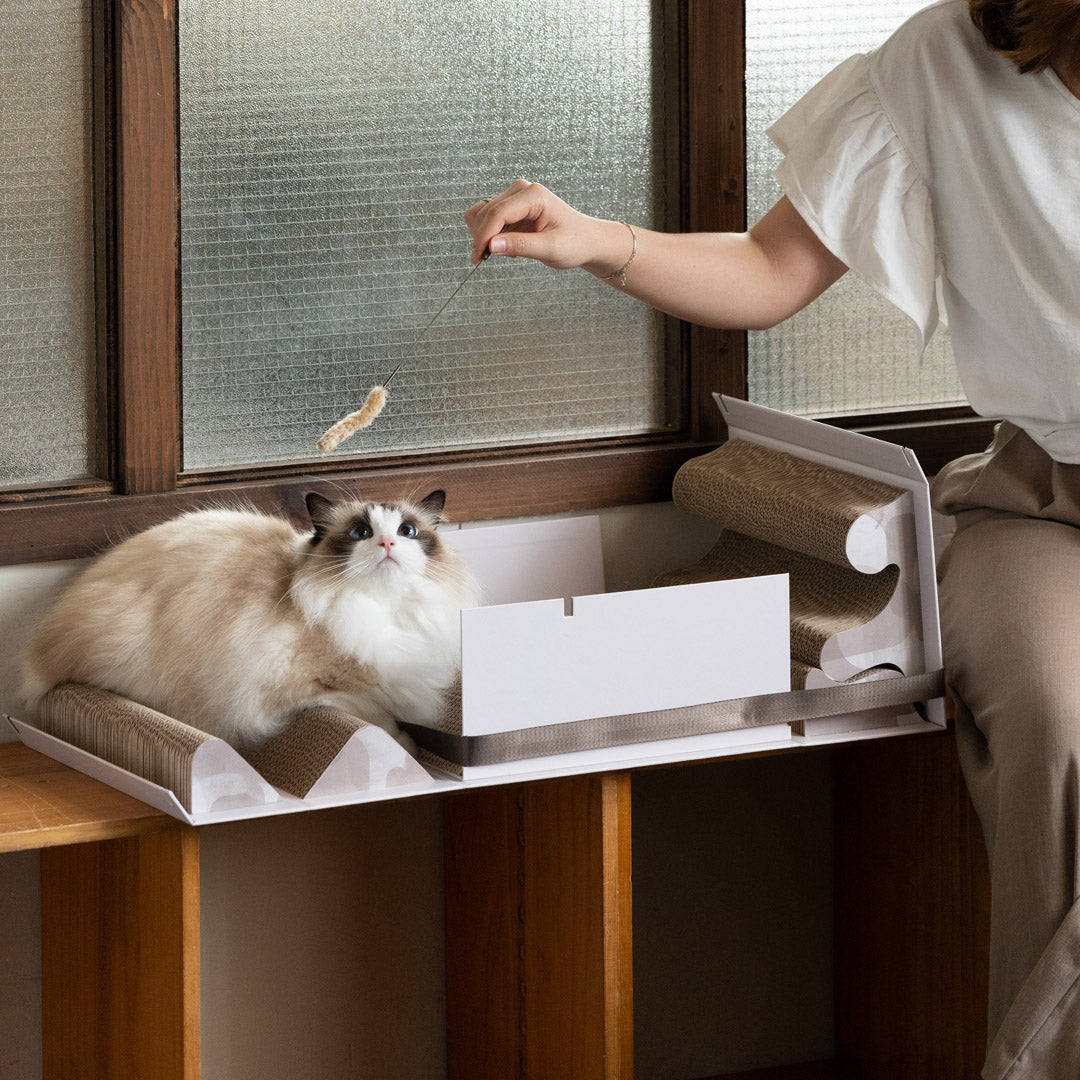 Mystery Box 貓抓盲盒-貓玩具-毛孩物語Pets Thing｜香港寵物貓狗用品專門店：IATA寵物飛機籠、寵物手推車、貓爬架貓樹