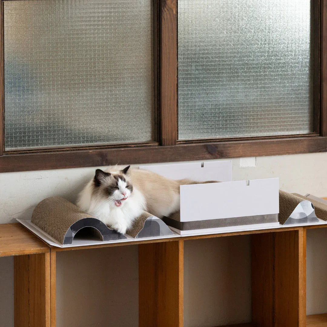 Pettellyava’ Mystery Box 貓抓盲盒-貓玩具-毛孩物語Pets Thing｜香港寵物貓狗用品專門店：IATA寵物飛機籠、寵物手推車、貓爬架貓樹