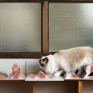 Pettellyava’ Mystery Box 貓抓盲盒-貓玩具-毛孩物語Pets Thing｜香港寵物貓狗用品專門店：IATA寵物飛機籠、寵物手推車、貓爬架貓樹