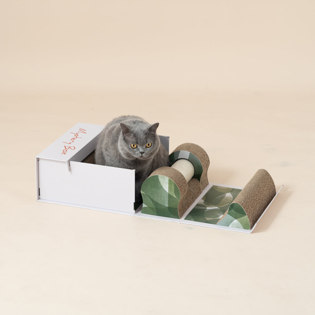 Mystery Box 貓抓盲盒-貓玩具-毛孩物語Pets Thing｜香港寵物貓狗用品專門店：IATA寵物飛機籠、寵物手推車、貓爬架貓樹