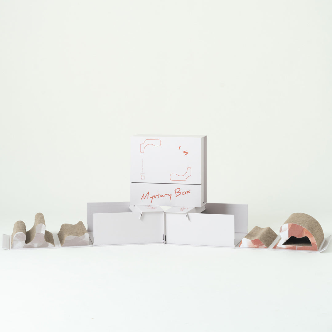 Mystery Box 貓抓盲盒-貓玩具-毛孩物語Pets Thing｜香港寵物貓狗用品專門店：IATA寵物飛機籠、寵物手推車、貓爬架貓樹