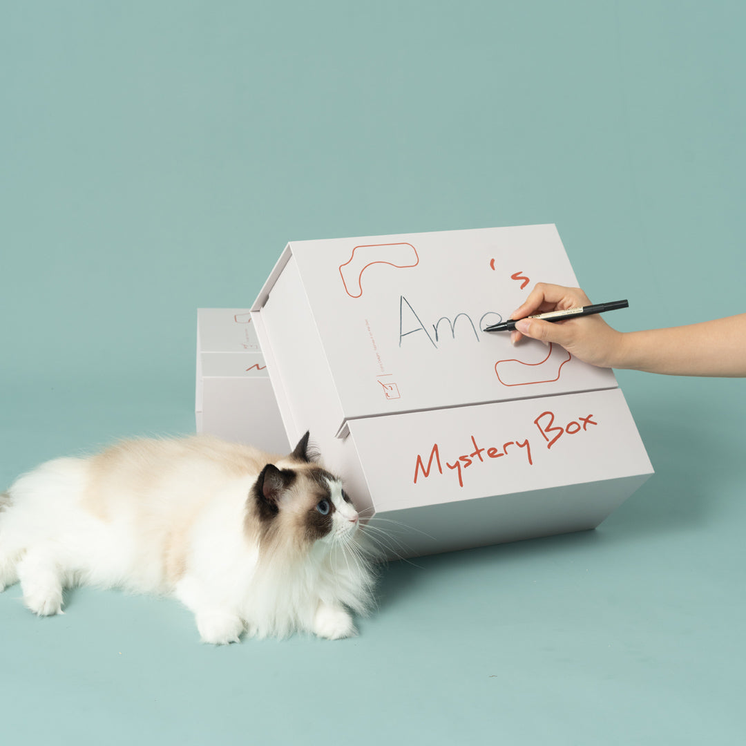 Mystery Box 貓抓盲盒-貓玩具-毛孩物語Pets Thing｜香港寵物貓狗用品專門店：IATA寵物飛機籠、寵物手推車、貓爬架貓樹