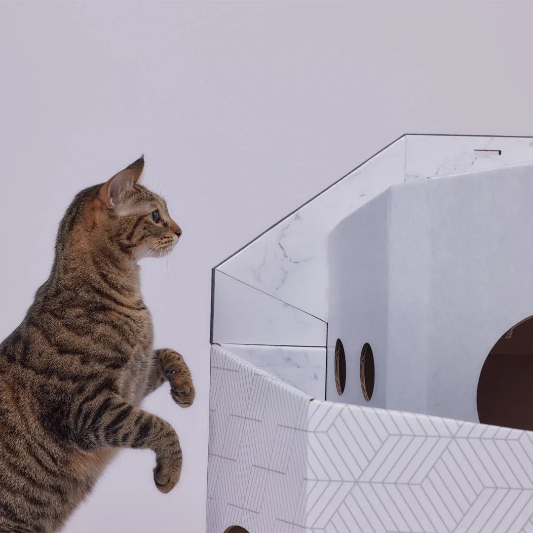 Pettellyava’ Mini Cat Mansion 摺疊式貓屋-貓-毛孩物語Pets Thing｜香港寵物貓狗用品專門店：IATA寵物飛機籠、寵物手推車、貓爬架貓樹