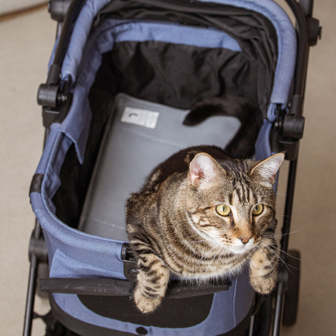 Miqoo 夏日感應式涼風墊-寵物墊-毛孩物語Pets Thing｜香港寵物貓狗用品專門店：IATA寵物飛機籠、寵物手推車、貓爬架貓樹