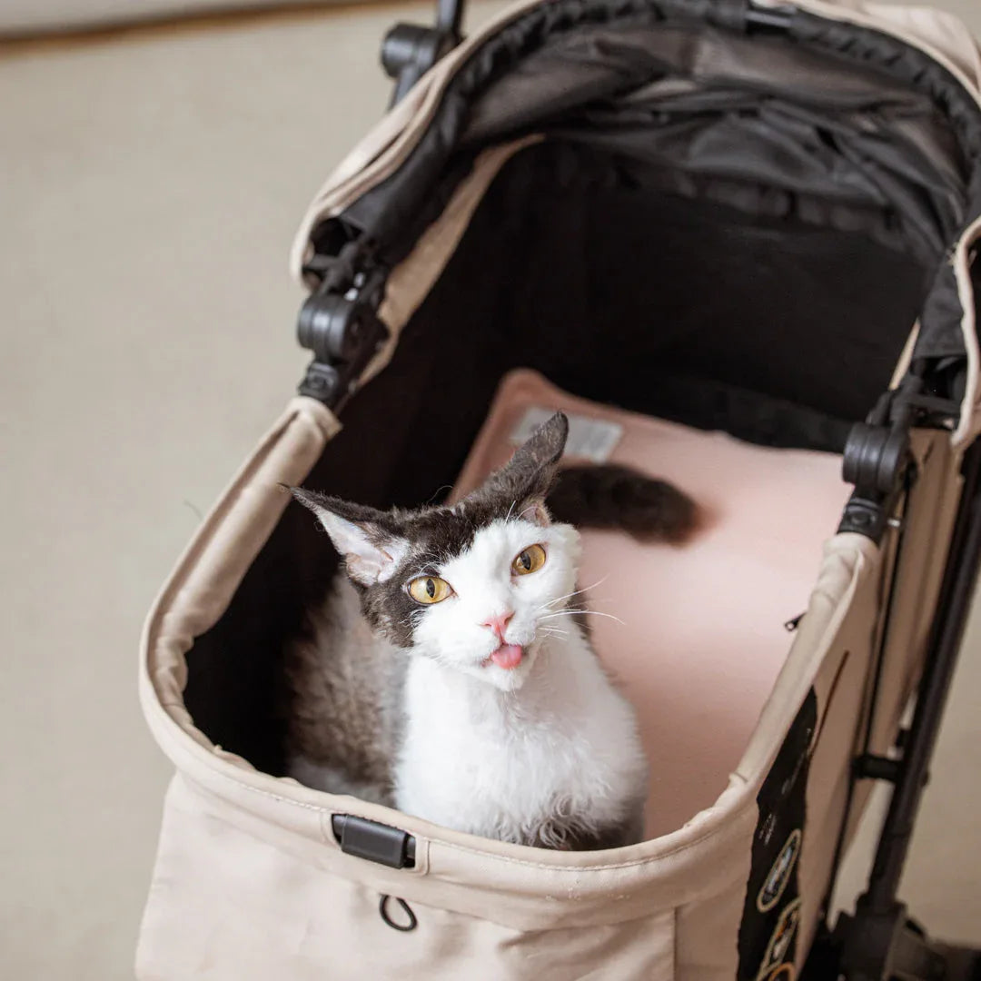 Pettellyava’ Miqoo 夏日感應式涼風墊-寵物墊-毛孩物語Pets Thing｜香港寵物貓狗用品專門店：IATA寵物飛機籠、寵物手推車、貓爬架貓樹