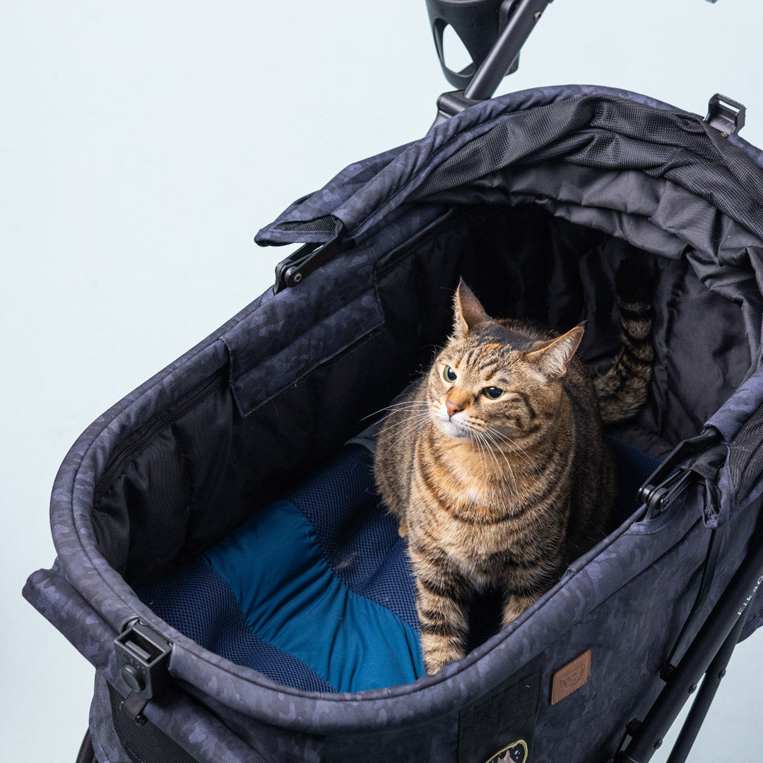Miqoo 夏日感應式涼風墊-寵物墊-毛孩物語Pets Thing｜香港寵物貓狗用品專門店：IATA寵物飛機籠、寵物手推車、貓爬架貓樹