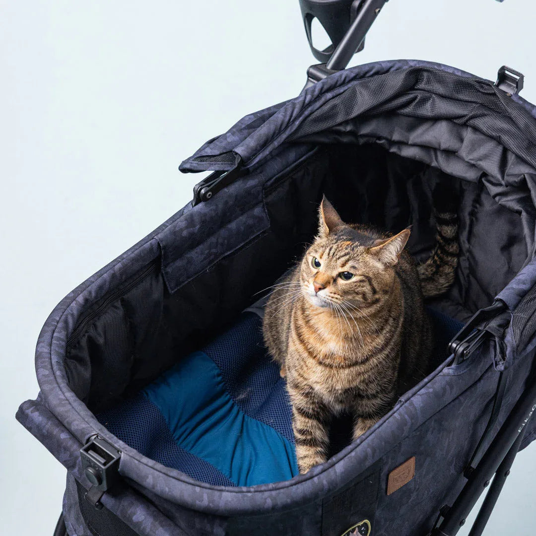 Pettellyava’ Miqoo 夏日感應式涼風墊-寵物墊-毛孩物語Pets Thing｜香港寵物貓狗用品專門店：IATA寵物飛機籠、寵物手推車、貓爬架貓樹