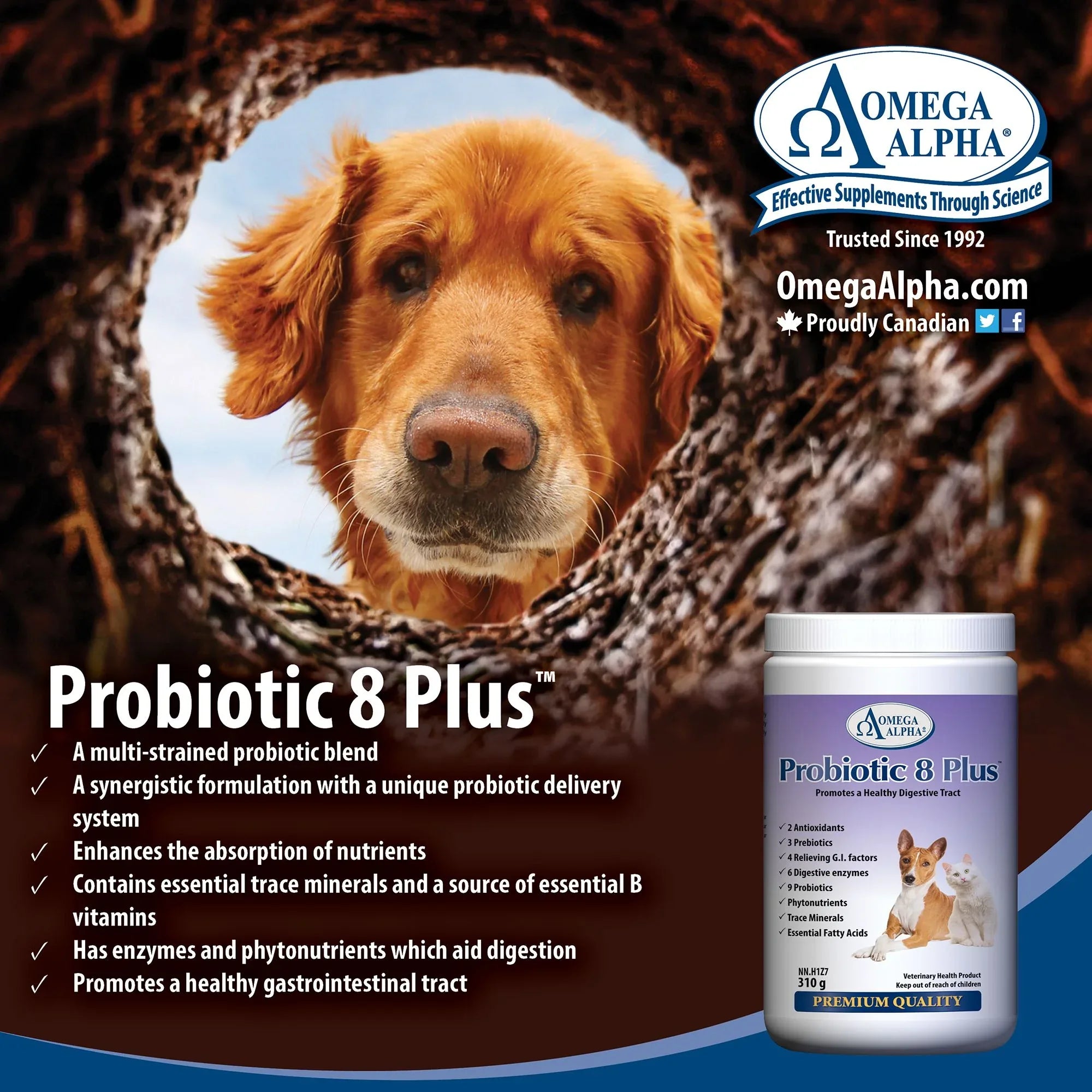 加拿大直送：Omega Alpha Probiotic 8 Plus 特強寵物益生菌 8+ (貓狗專用粉劑)-寵物補充品-毛孩物語Pets Thing｜香港寵物貓狗用品專門店：IATA寵物飛機籠、寵物手推車、貓爬架貓樹