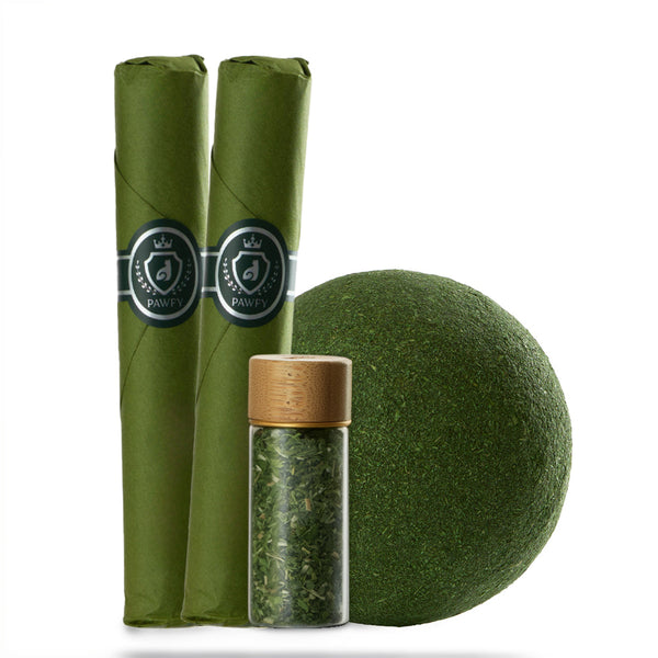 Pawfy 貓咪玩樂磨牙 - 貓薄荷套裝 (4件裝)-貓玩具-毛孩物語Pets Thing｜香港寵物貓狗用品專門店：IATA寵物飛機籠、寵物手推車、貓爬架貓樹