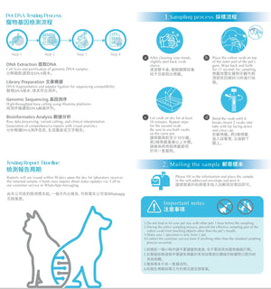 HERO DNA 寵物(貓狗)基因檢測套裝 Pet DNA Test for Cats and Dogs-寵物基因檢測-毛孩物語Pets Thing｜香港寵物貓狗用品專門店：IATA寵物飛機籠、寵物手推車、貓爬架貓樹