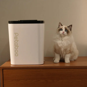 Petaboo C200 自動真空儲糧桶-真空儲糧桶-毛孩物語Pets Thing｜香港寵物貓狗用品專門店：IATA寵物飛機籠、寵物手推車、貓爬架貓樹
