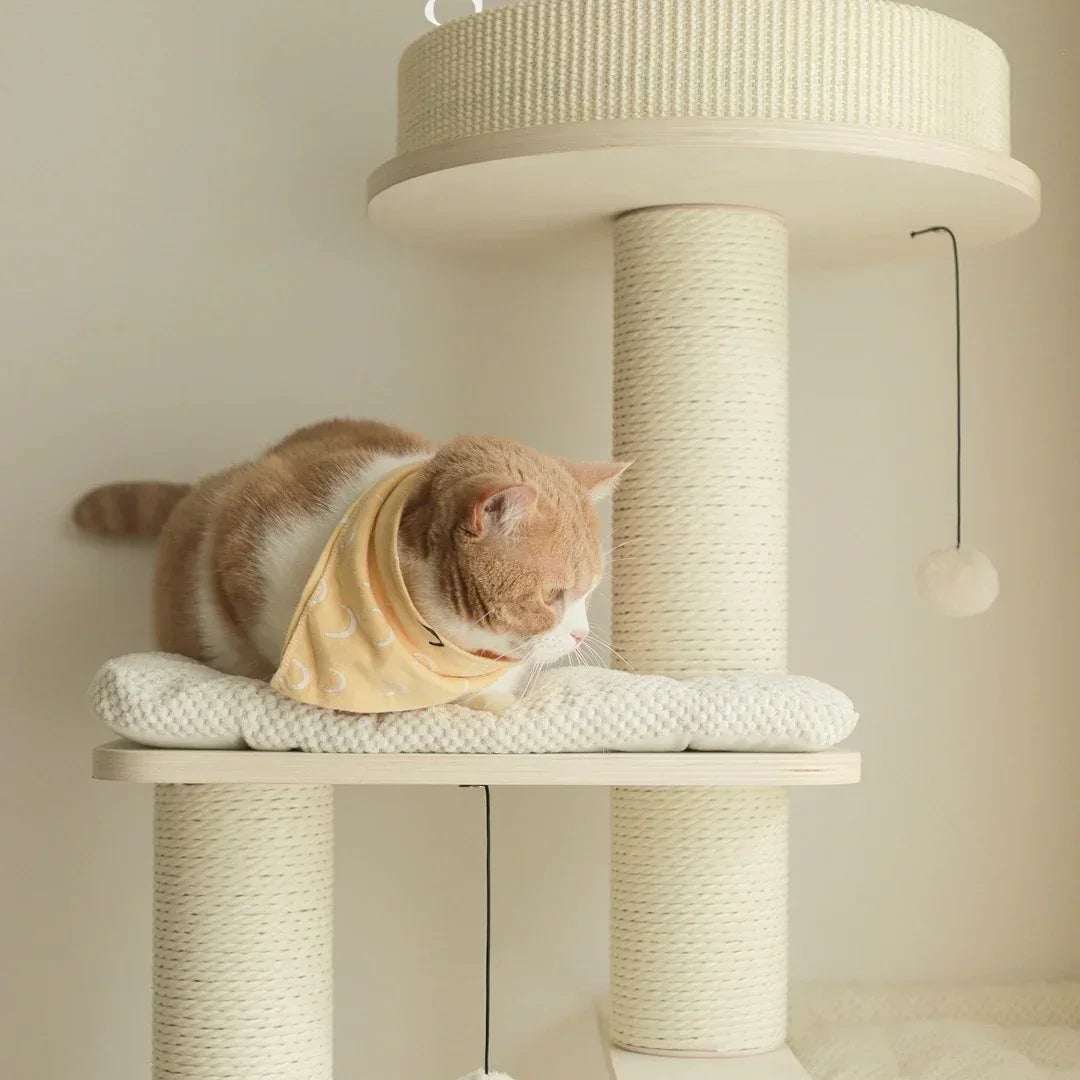 Purring 多層實木貓爬架｜153cm 豪華6層款-貓-毛孩物語Pets Thing｜香港寵物貓狗用品專門店：IATA寵物飛機籠、寵物手推車、貓爬架貓樹