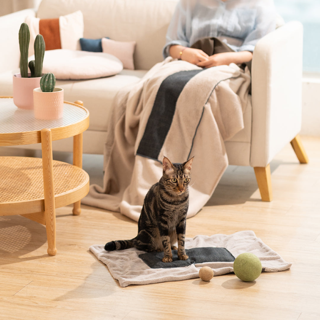 Quin 親子多功能被枕-貓用品-毛孩物語Pets Thing｜香港寵物貓狗用品專門店：IATA寵物飛機籠、寵物手推車、貓爬架貓樹