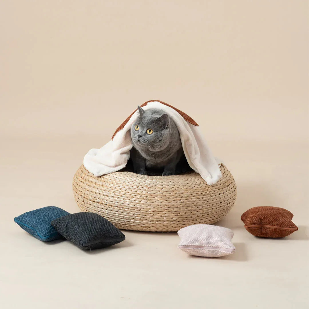 Pettellyava’ Quin 親子多功能被枕-貓用品-毛孩物語Pets Thing｜香港寵物貓狗用品專門店：IATA寵物飛機籠、寵物手推車、貓爬架貓樹