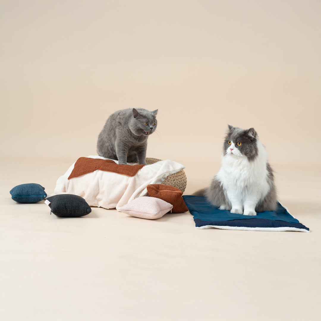 Quin 親子多功能被枕-貓用品-毛孩物語Pets Thing｜香港寵物貓狗用品專門店：IATA寵物飛機籠、寵物手推車、貓爬架貓樹