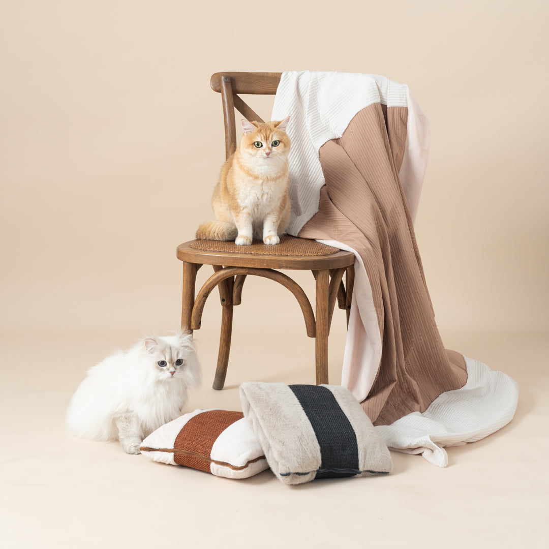 Quin 親子多功能被枕-貓用品-毛孩物語Pets Thing｜香港寵物貓狗用品專門店：IATA寵物飛機籠、寵物手推車、貓爬架貓樹