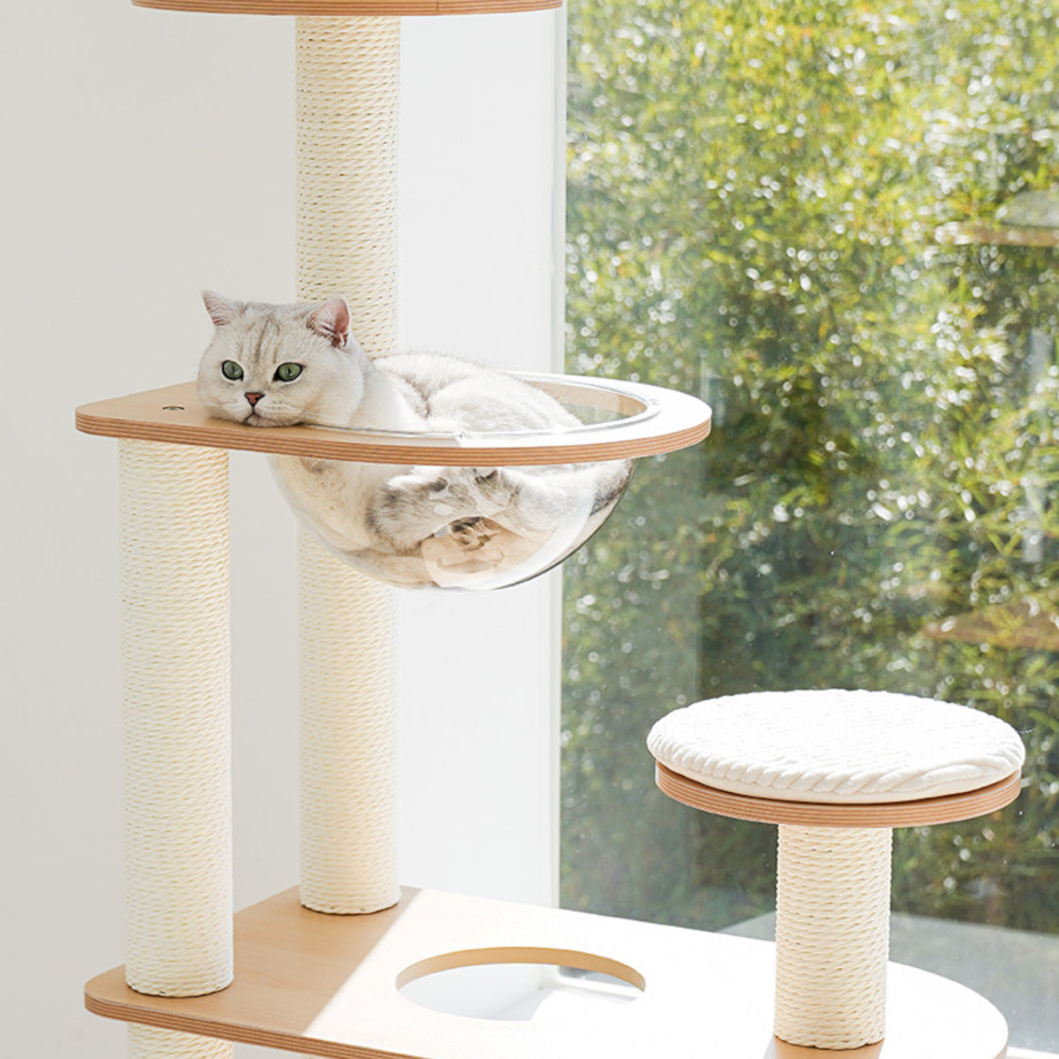 zeze Modern Wooden Cat Tree with Scratching Post and Platforms (Five-Tiered Space/Includes Space Capsule)