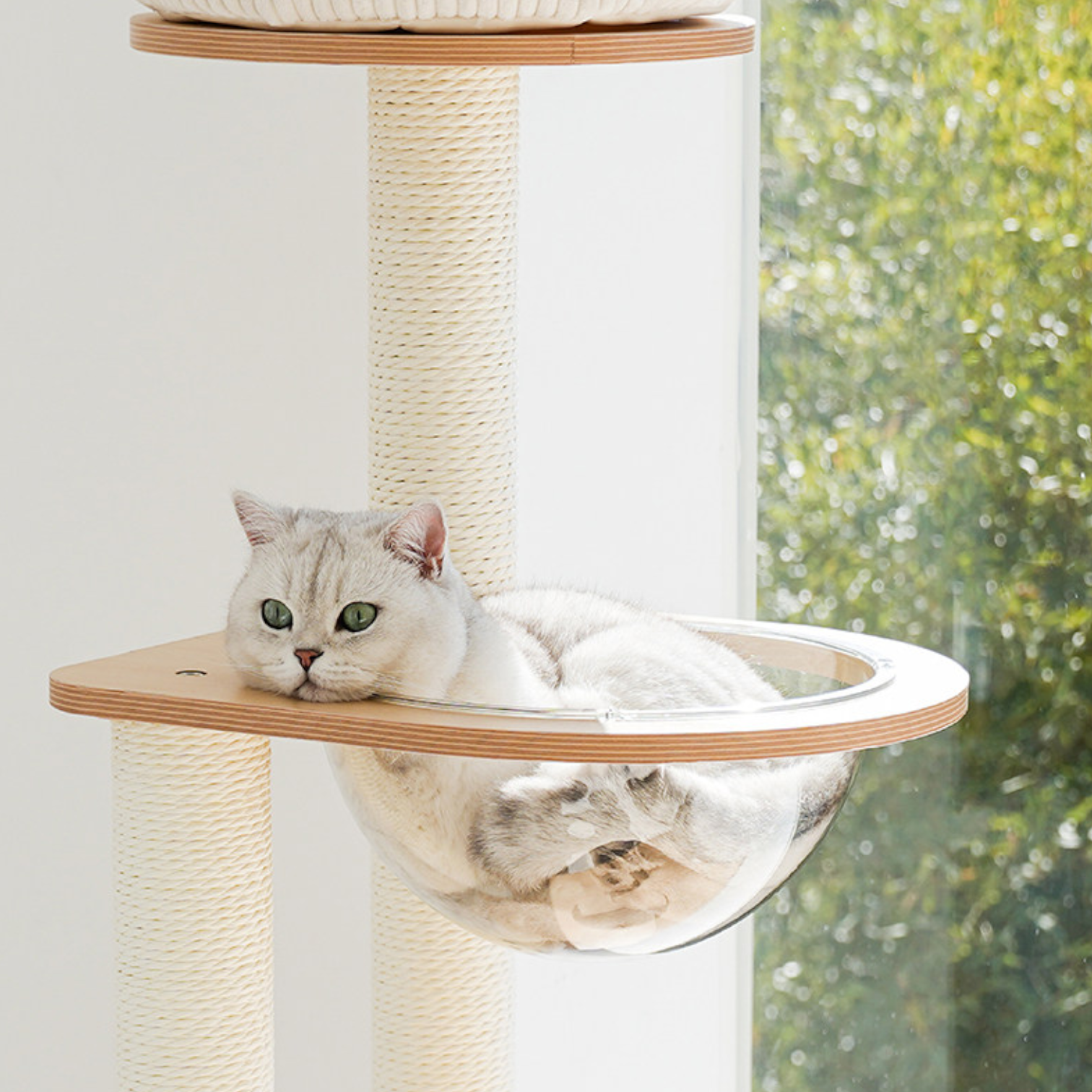 zeze Modern Wooden Cat Tree with Scratching Post and Platforms (Five-Tiered Space/Includes Space Capsule)