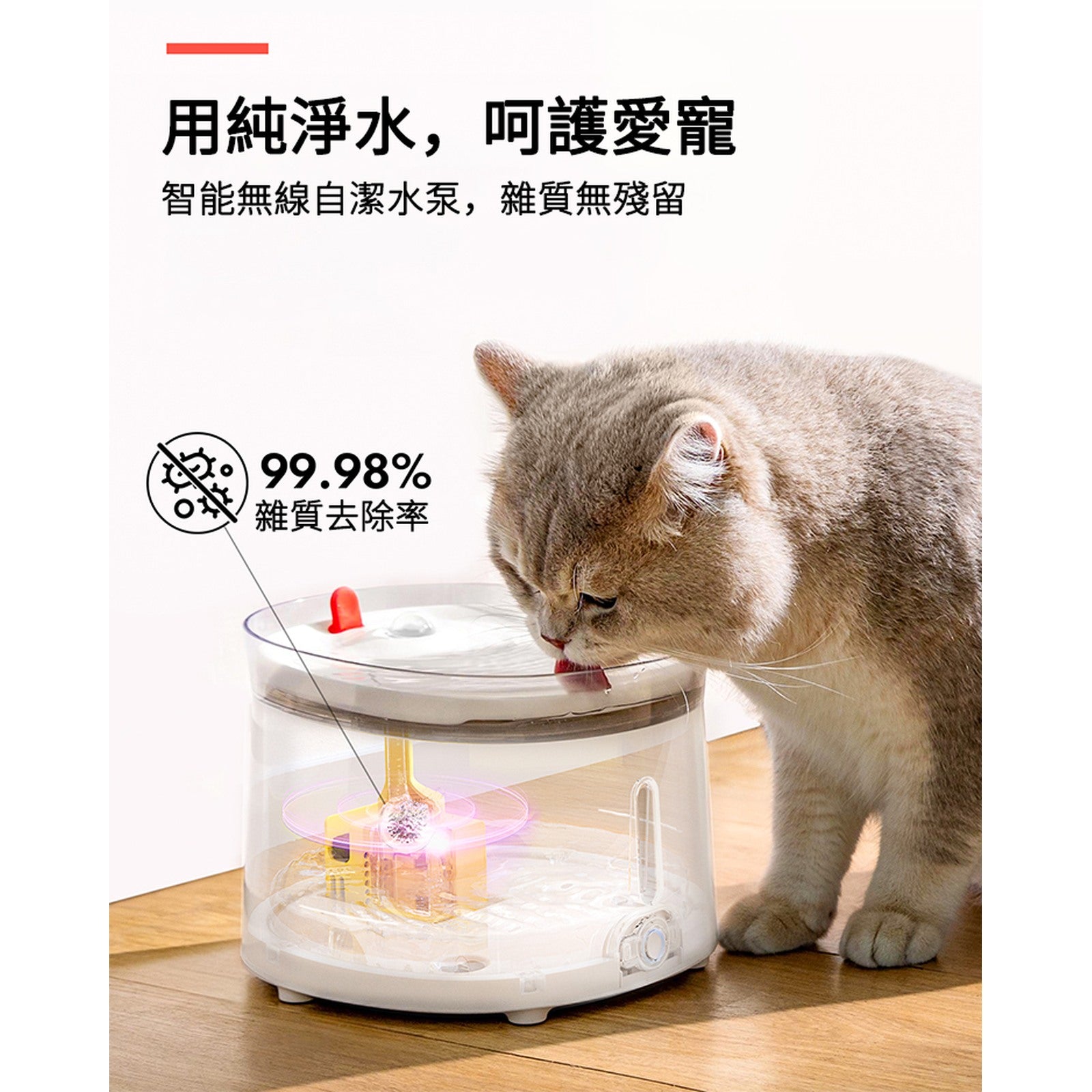 HomeRunPET CF20 2L 陶瓷面無線水泵寵物飲水機及配件-自動飲水器-毛孩物語Pets Thing｜香港寵物貓狗用品專門店：IATA寵物飛機籠、寵物手推車、貓爬架貓樹
