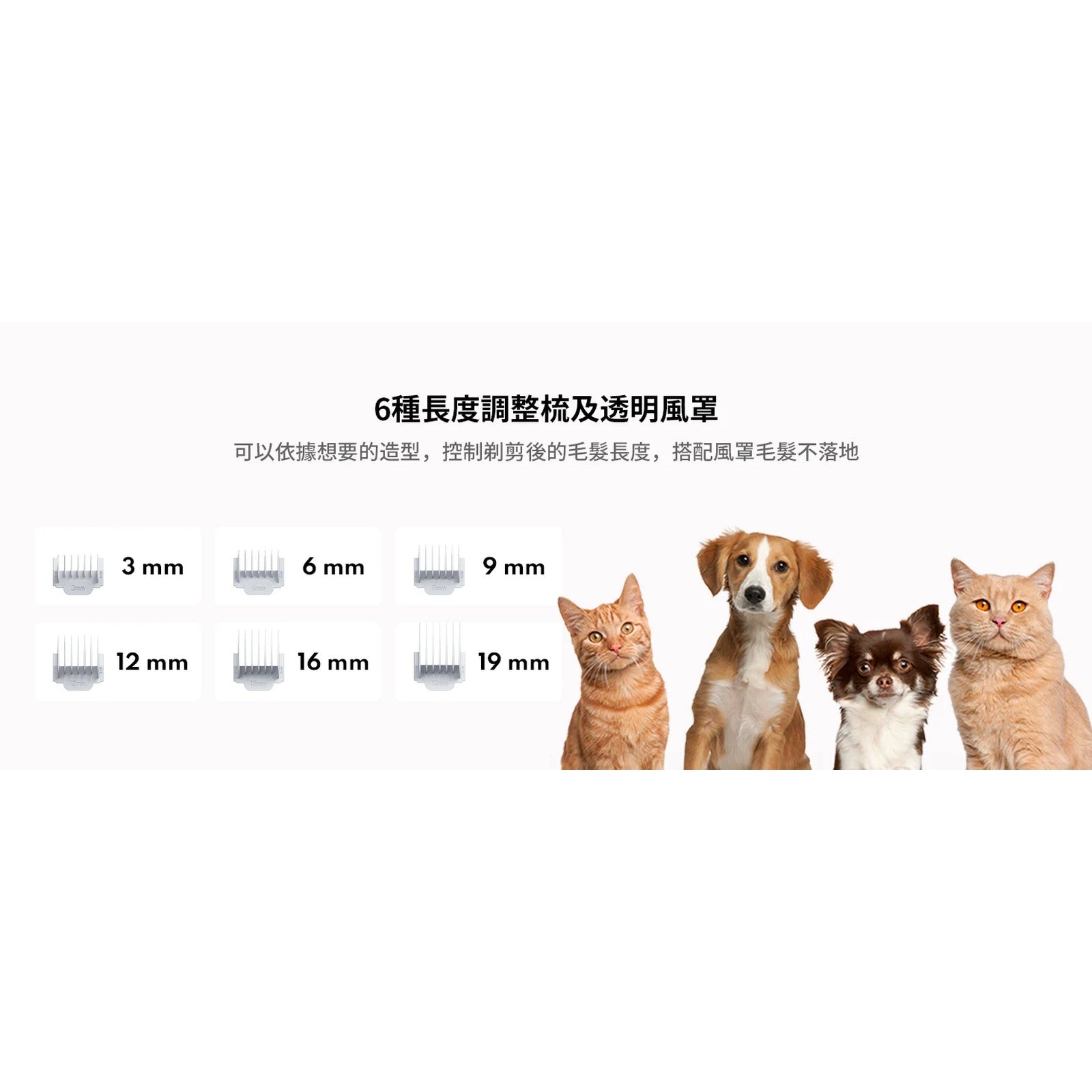 HomeRunPET HC15 6 合 1 寵物多功能理毛器-寵物美容用品-毛孩物語Pets Thing｜香港寵物貓狗用品專門店：IATA寵物飛機籠、寵物手推車、貓爬架貓樹