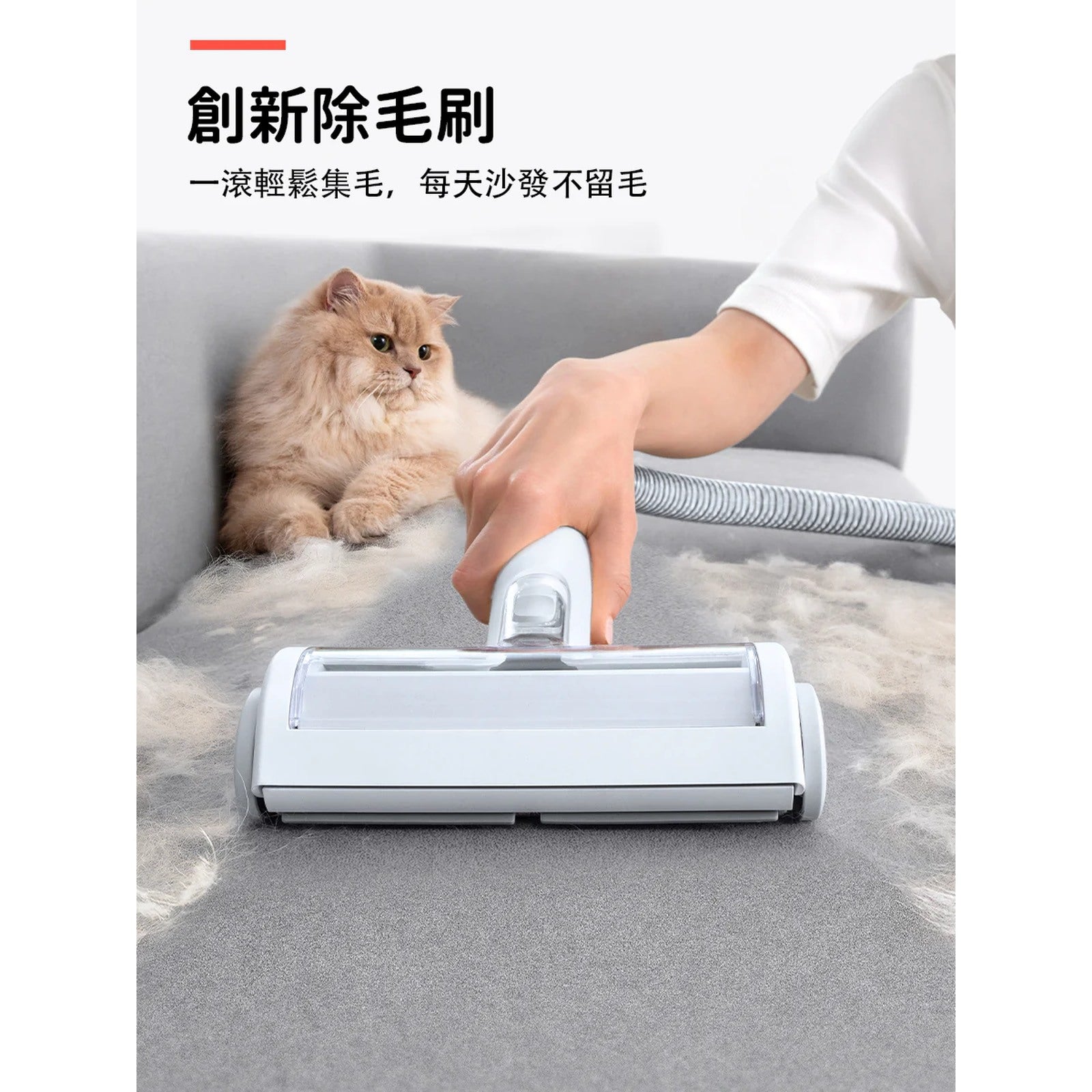 HomeRunPET HC15 6 合 1 寵物多功能理毛器-寵物美容用品-毛孩物語Pets Thing｜香港寵物貓狗用品專門店：IATA寵物飛機籠、寵物手推車、貓爬架貓樹