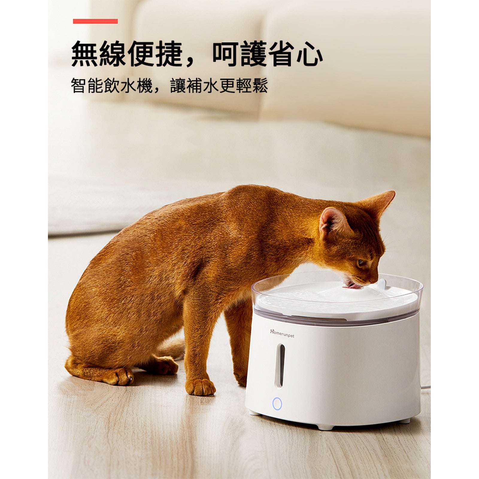 HomeRunPET WF20 2L 無線水泵寵物飲水機及配件-自動飲水器-毛孩物語Pets Thing｜香港寵物貓狗用品專門店：IATA寵物飛機籠、寵物手推車、貓爬架貓樹