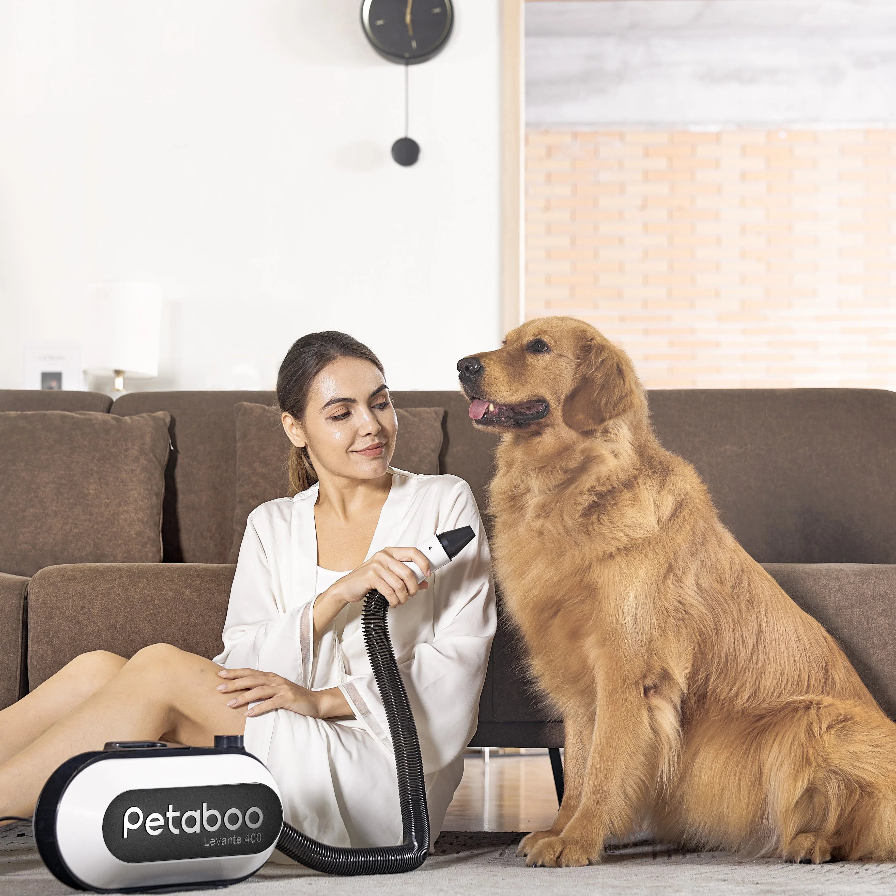 Petaboo L400 負離子智能吹毛機-毛孩物語Pets Thing｜香港寵物貓狗用品專門店：IATA寵物飛機籠、寵物手推車、貓爬架貓樹