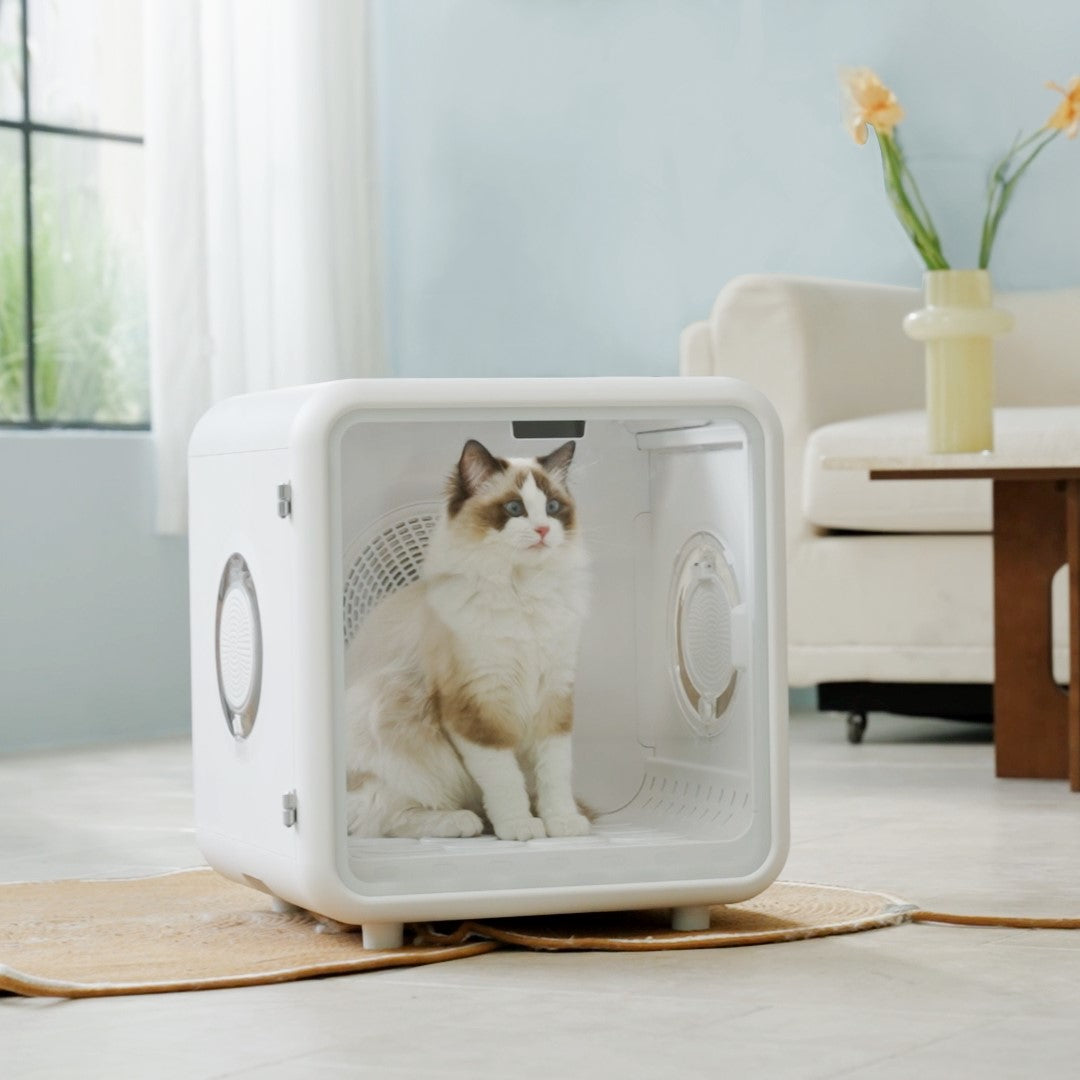 Petaboo 智能寵物烘乾箱-貓狗-毛孩物語Pets Thing｜香港寵物貓狗用品專門店：IATA寵物飛機籠、寵物手推車、貓爬架貓樹