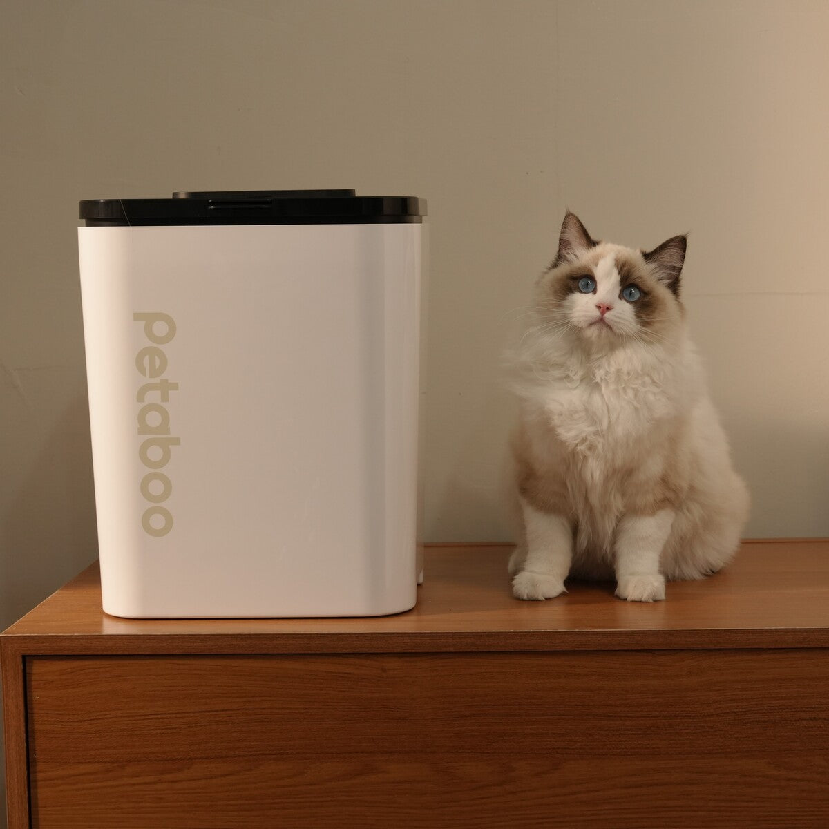Petaboo C200 自動真空儲糧桶-貓狗-毛孩物語Pets Thing｜香港寵物貓狗用品專門店：IATA寵物飛機籠、寵物手推車、貓爬架貓樹