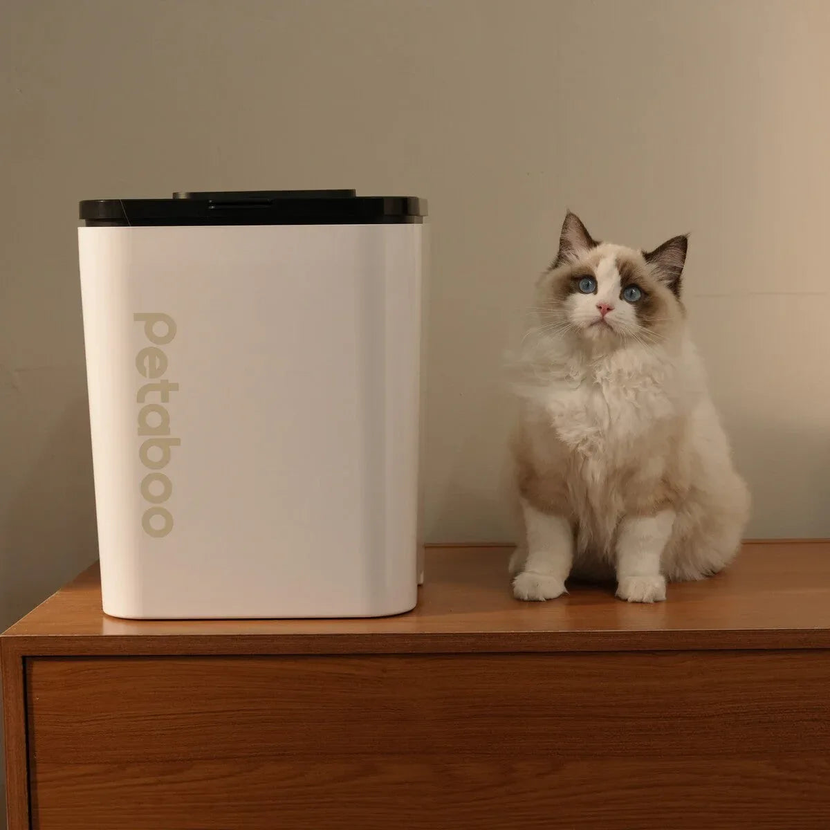 Petaboo C200 自動真空儲糧桶-真空儲糧桶-毛孩物語Pets Thing｜香港寵物貓狗用品專門店：IATA寵物飛機籠、寵物手推車、貓爬架貓樹