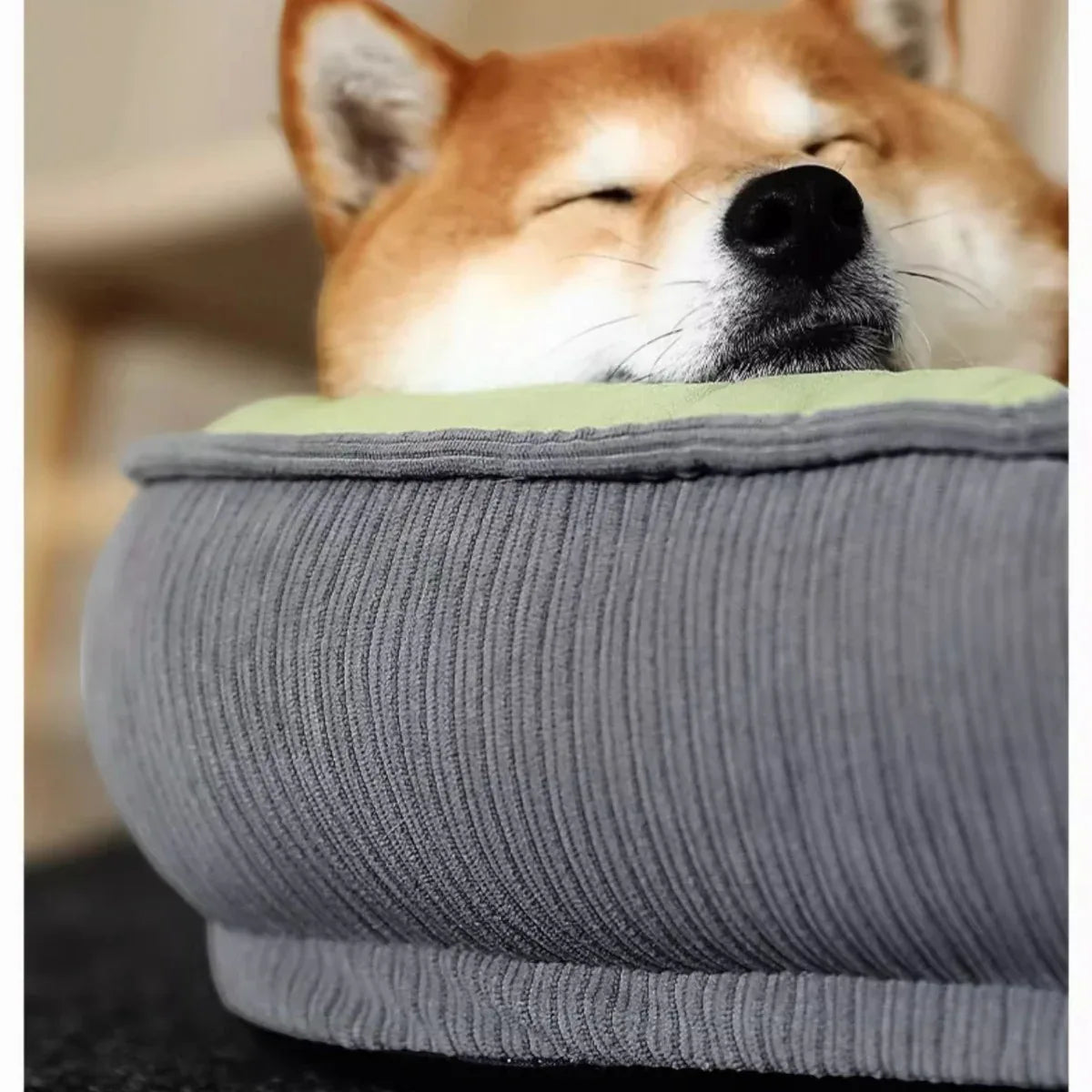kimpets四季通用貓狗兩用加厚護頸寵物窩-貓狗-毛孩物語Pets Thing｜香港寵物貓狗用品專門店：IATA寵物飛機籠、寵物手推車、貓爬架貓樹