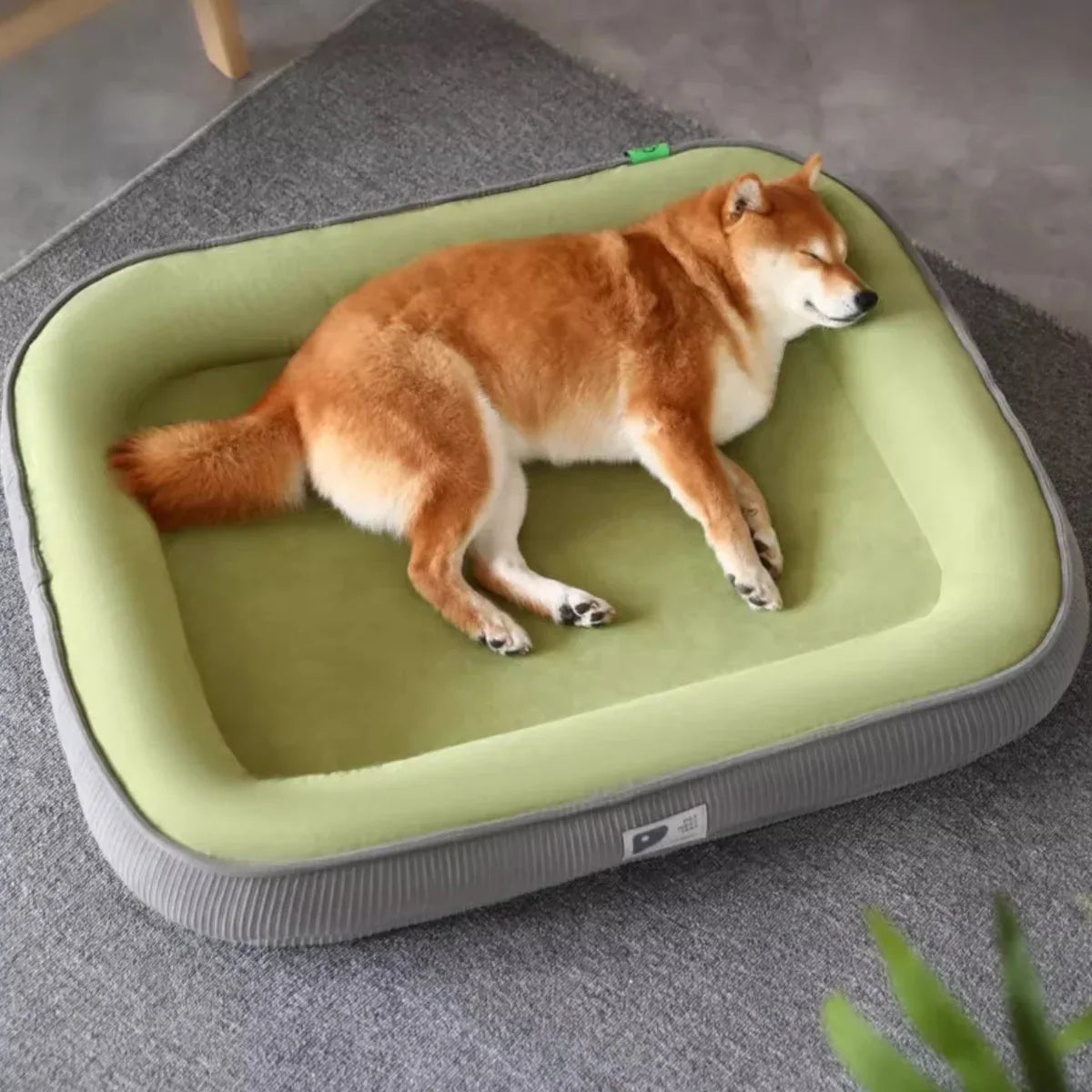 kimpets四季通用貓狗兩用加厚護頸寵物窩-貓狗-毛孩物語Pets Thing｜香港寵物貓狗用品專門店：IATA寵物飛機籠、寵物手推車、貓爬架貓樹
