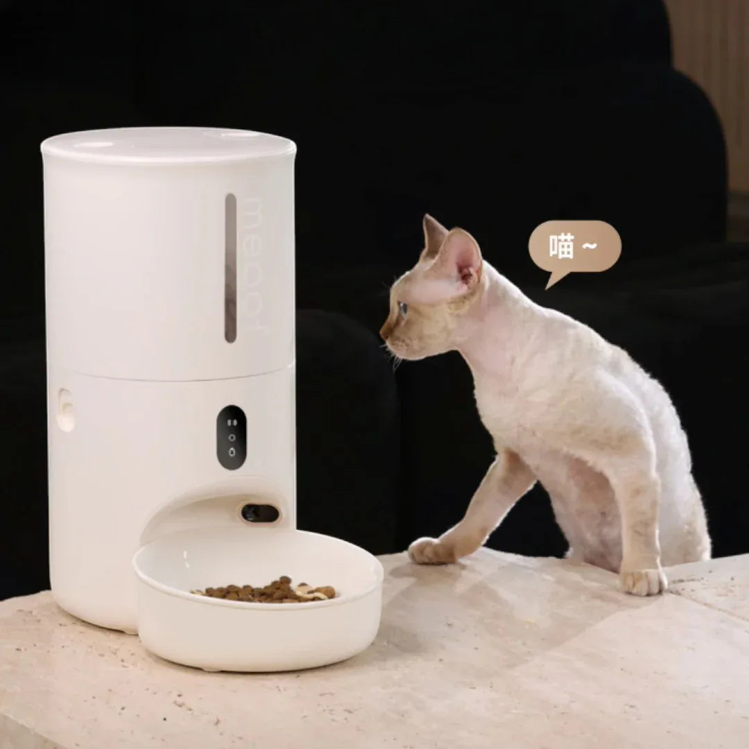 meoof 蛋捲自動餵食器 (帶鏡頭｜4L｜乾濕電2用)-自動餵食器-毛孩物語Pets Thing｜香港寵物貓狗用品專門店：IATA寵物飛機籠、寵物手推車、貓爬架貓樹