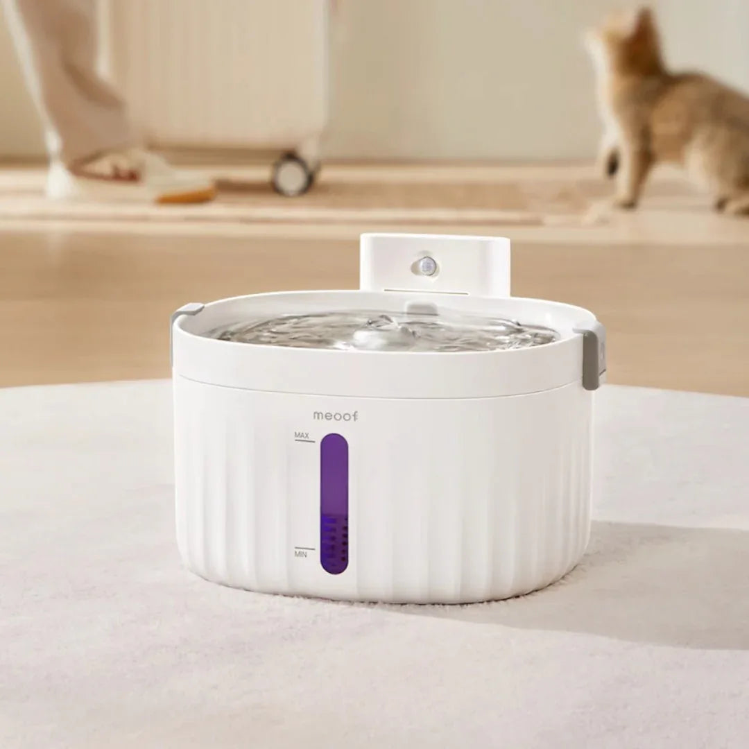 meoof 無插電寵物飲水機（陶瓷不鏽鋼|5000mAh|2L容量）-自動飲水器-毛孩物語Pets Thing｜香港寵物貓狗用品專門店：IATA寵物飛機籠、寵物手推車、貓爬架貓樹