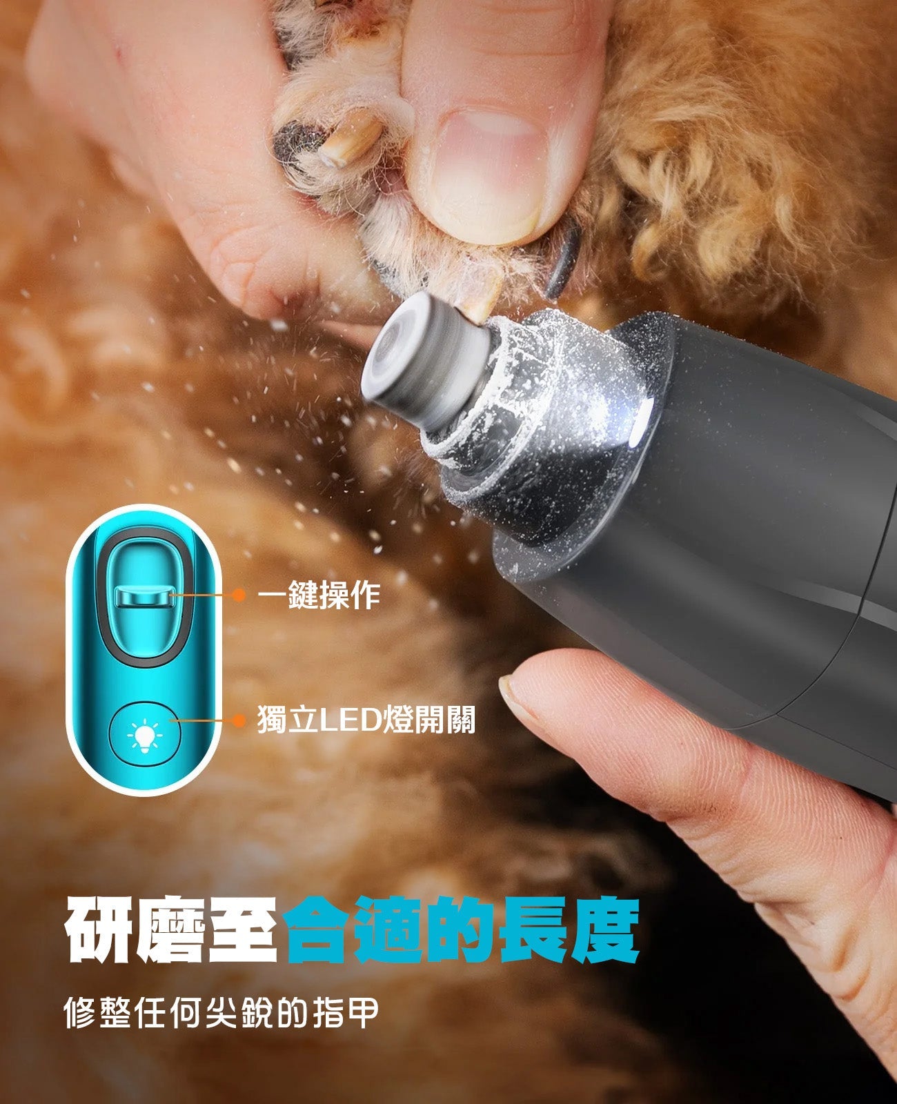 Oneisall FC10 4合1寵物修剪套裝-貓狗-毛孩物語Pets Thing｜香港寵物貓狗用品專門店：IATA寵物飛機籠、寵物手推車、貓爬架貓樹