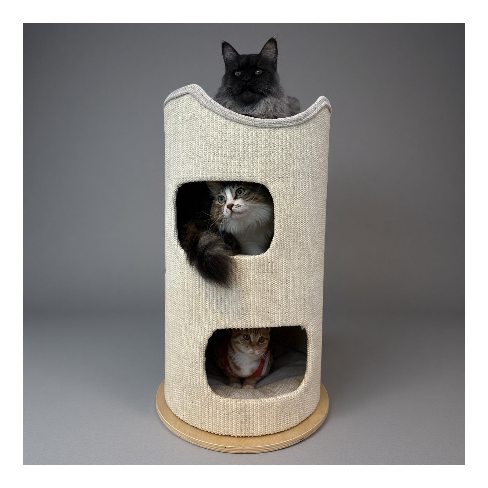 PET HERO 多層劍麻桶貓窩貓爬架（40／50／60cm 桶身・4 款） 商品圖片 1