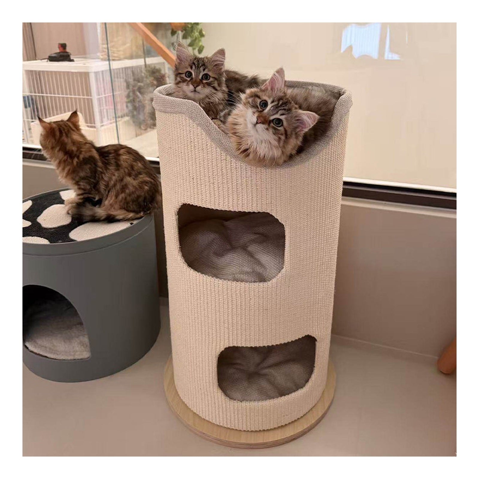 PET HERO 多層劍麻桶貓窩貓爬架（40／50／60cm 桶身・4 款） 商品圖片 2