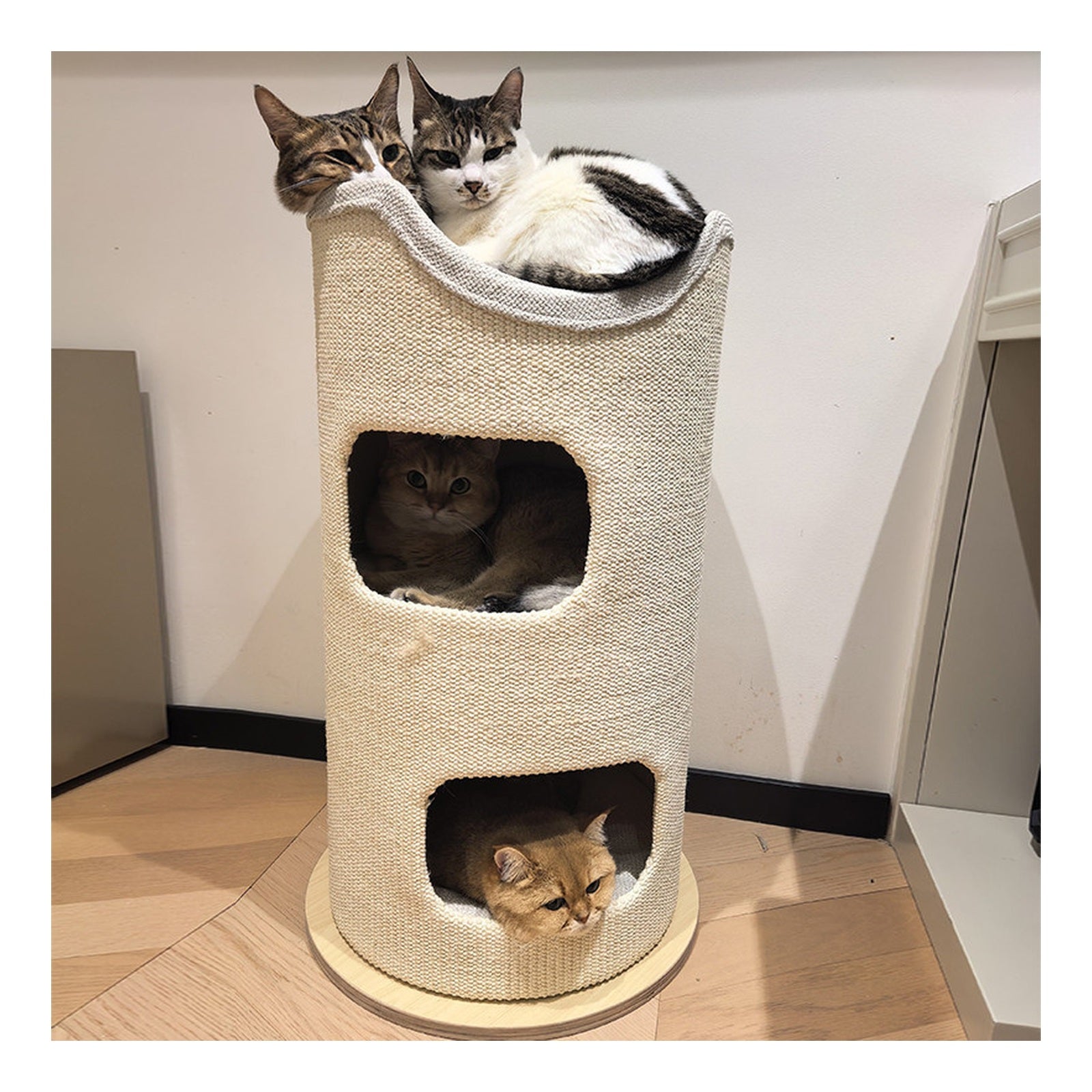 PET HERO 多層劍麻桶貓窩貓爬架（40／50／60cm 桶身・4 款） 商品圖片 3