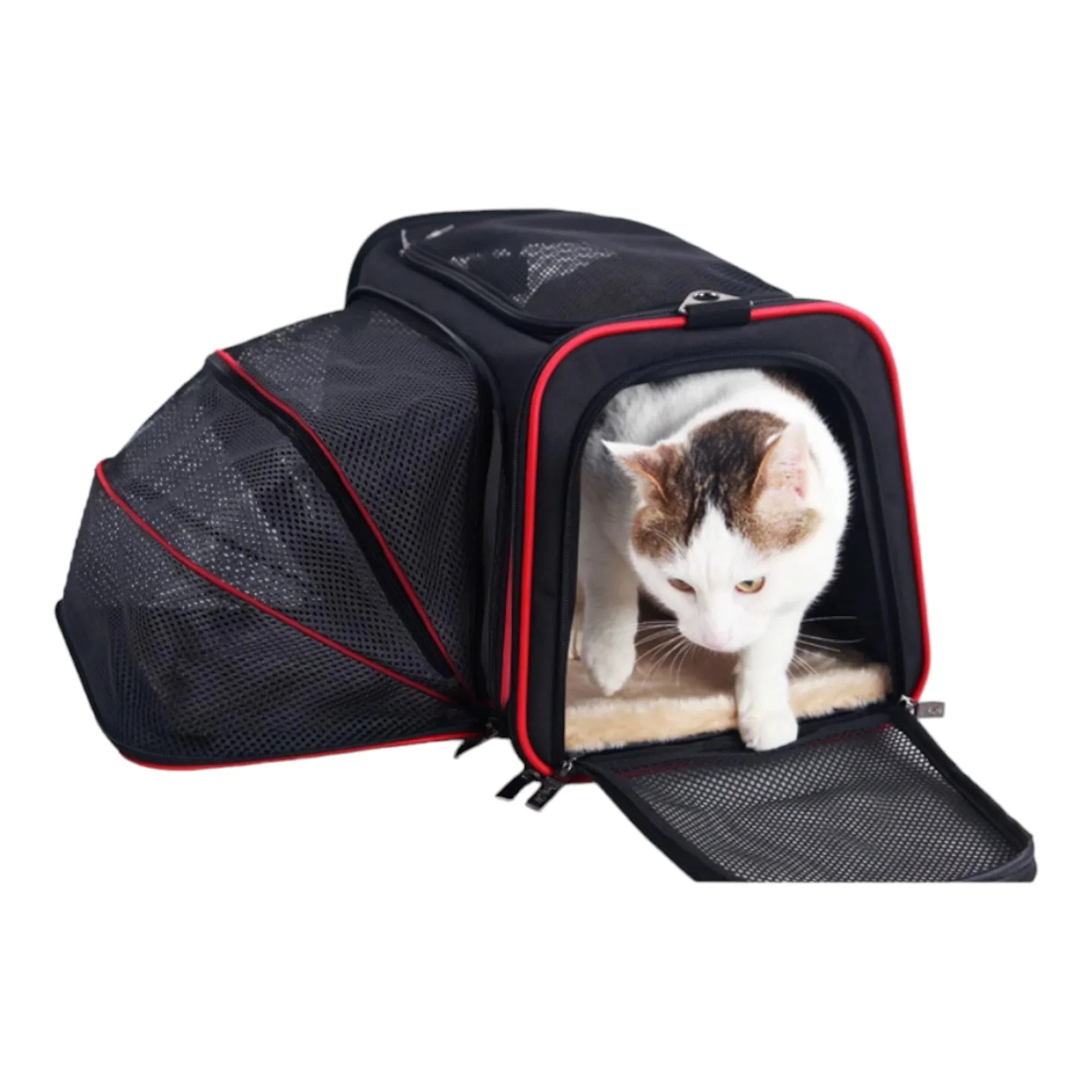 Petsfit 高質三用擴展式寵物手提袋外出貓袋 (內置安全繩｜底板硬墊｜可掛行李箱/肩背/手提)-寵物航空箱寵物袋-毛孩物語Pets Thing｜香港寵物貓狗用品專門店：IATA寵物飛機籠、寵物手推車、貓爬架貓樹