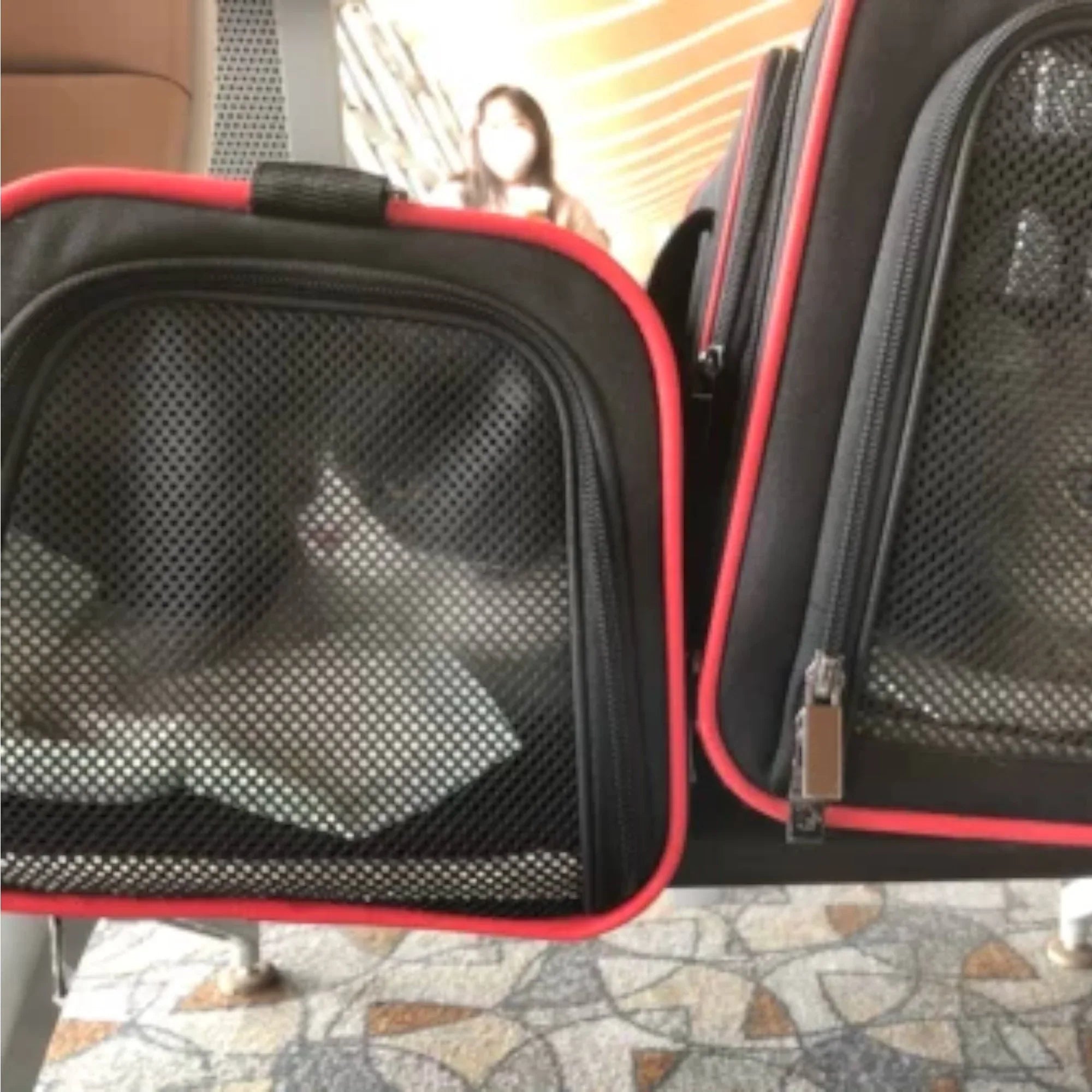 Petsfit 高質三用擴展式寵物手提袋外出貓袋 (內置安全繩｜底板硬墊｜可掛行李箱/肩背/手提)-寵物航空箱寵物袋-毛孩物語Pets Thing｜香港寵物貓狗用品專門店：IATA寵物飛機籠、寵物手推車、貓爬架貓樹