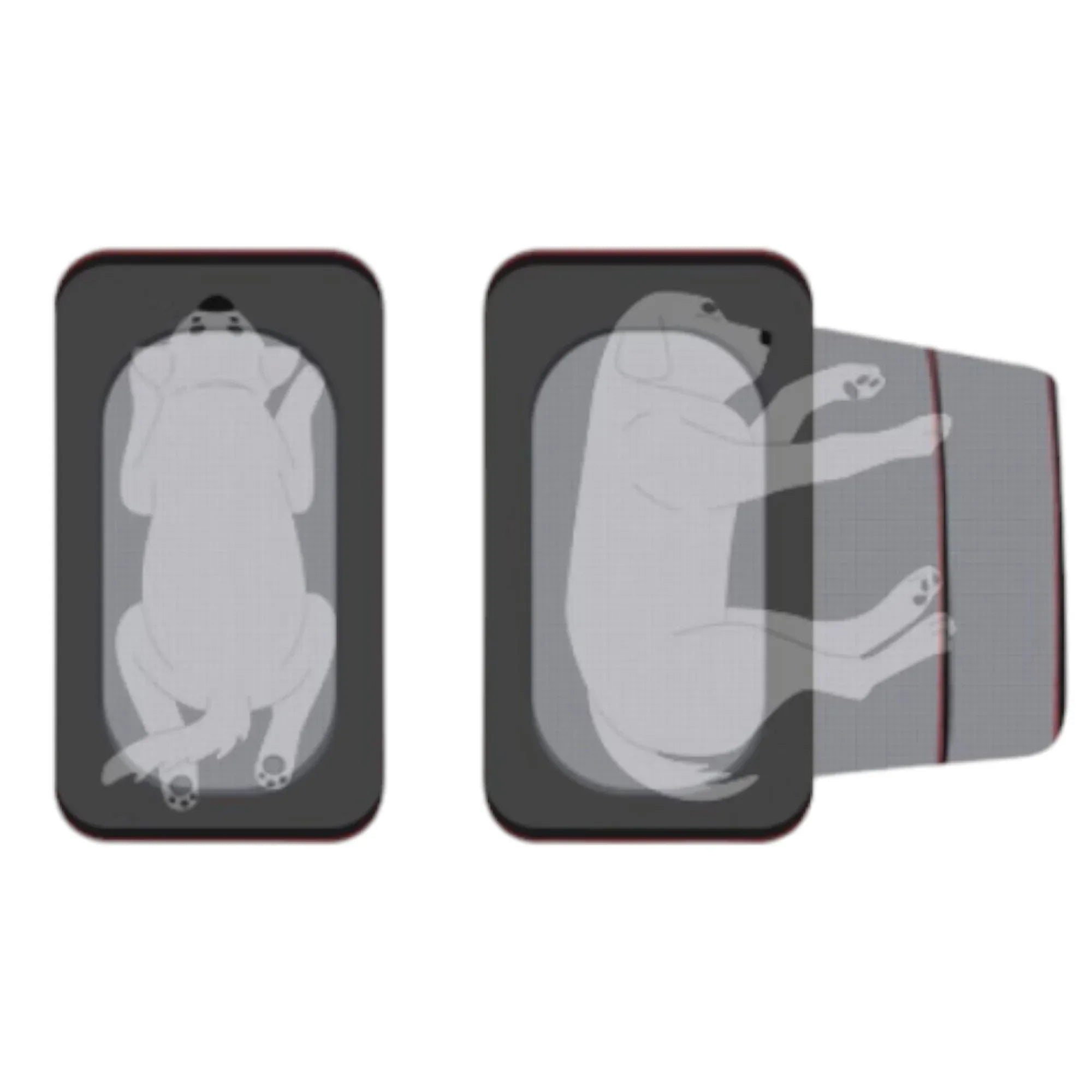 Petsfit 高質三用擴展式寵物手提袋外出貓袋 (內置安全繩｜底板硬墊｜可掛行李箱/肩背/手提)-寵物航空箱寵物袋-毛孩物語Pets Thing｜香港寵物貓狗用品專門店：IATA寵物飛機籠、寵物手推車、貓爬架貓樹
