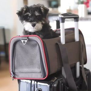 Petsfit 高質三用擴展式寵物手提袋外出貓袋 (內置安全繩｜底板硬墊｜可掛行李箱/肩背/手提)-寵物航空箱寵物袋-毛孩物語Pets Thing｜香港寵物貓狗用品專門店：IATA寵物飛機籠、寵物手推車、貓爬架貓樹