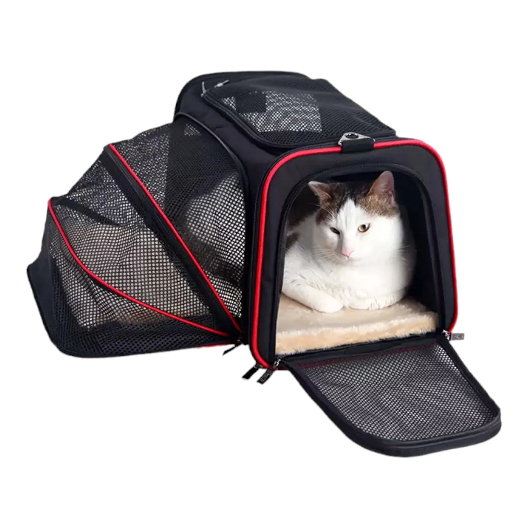 Petsfit 高質三用擴展式寵物手提袋外出貓袋 (內置安全繩｜底板硬墊｜可掛行李箱/肩背/手提)-寵物航空箱寵物袋-毛孩物語Pets Thing｜香港寵物貓狗用品專門店：IATA寵物飛機籠、寵物手推車、貓爬架貓樹