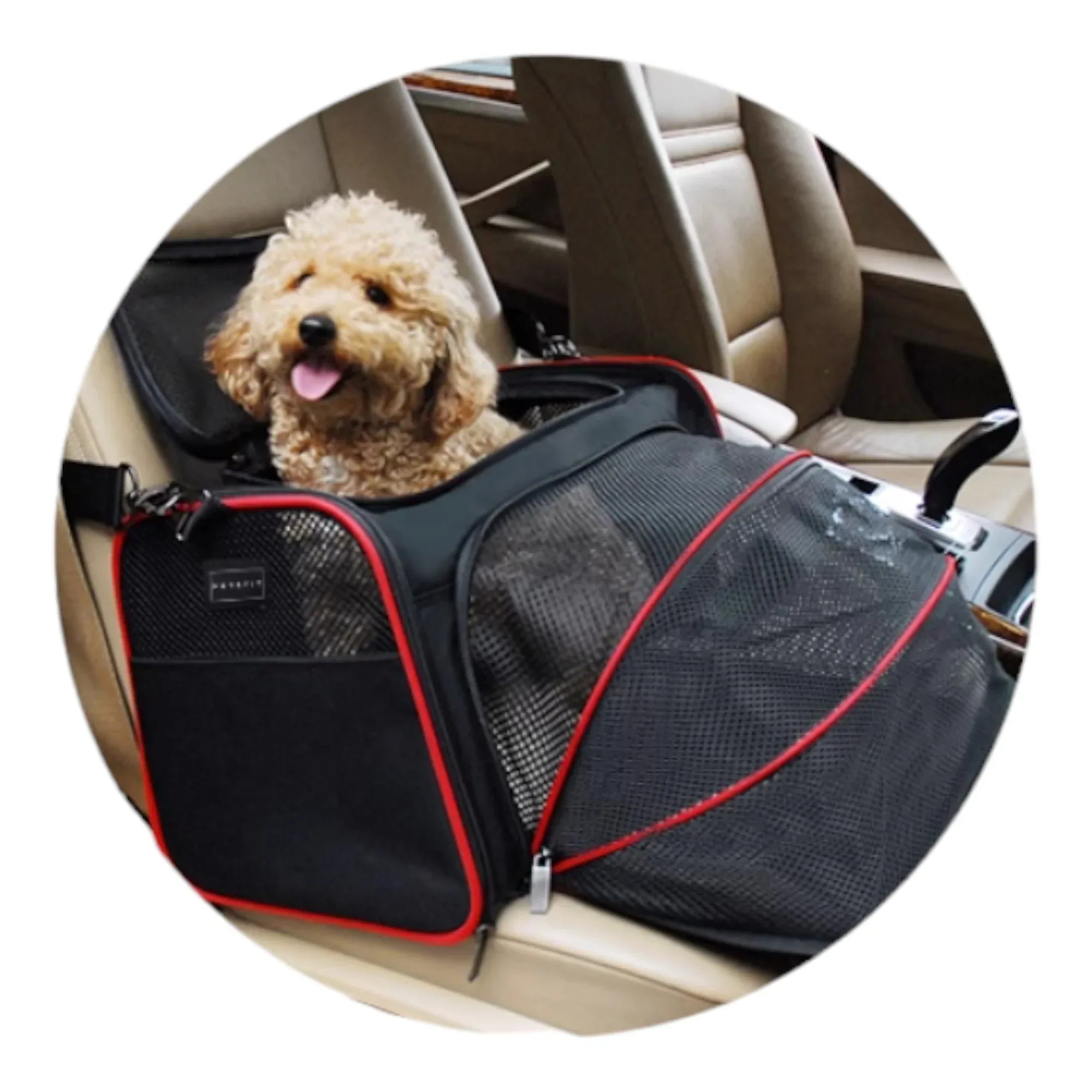 Petsfit 高質三用擴展式寵物手提袋外出貓袋 (內置安全繩｜底板硬墊｜可掛行李箱/肩背/手提)-寵物航空箱寵物袋-毛孩物語Pets Thing｜香港寵物貓狗用品專門店：IATA寵物飛機籠、寵物手推車、貓爬架貓樹