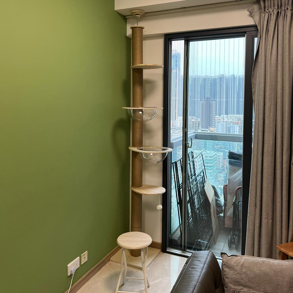 Pets Thing pet furniture installation example 6
