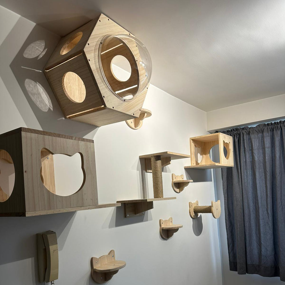 Pets Thing pet furniture installation example 21