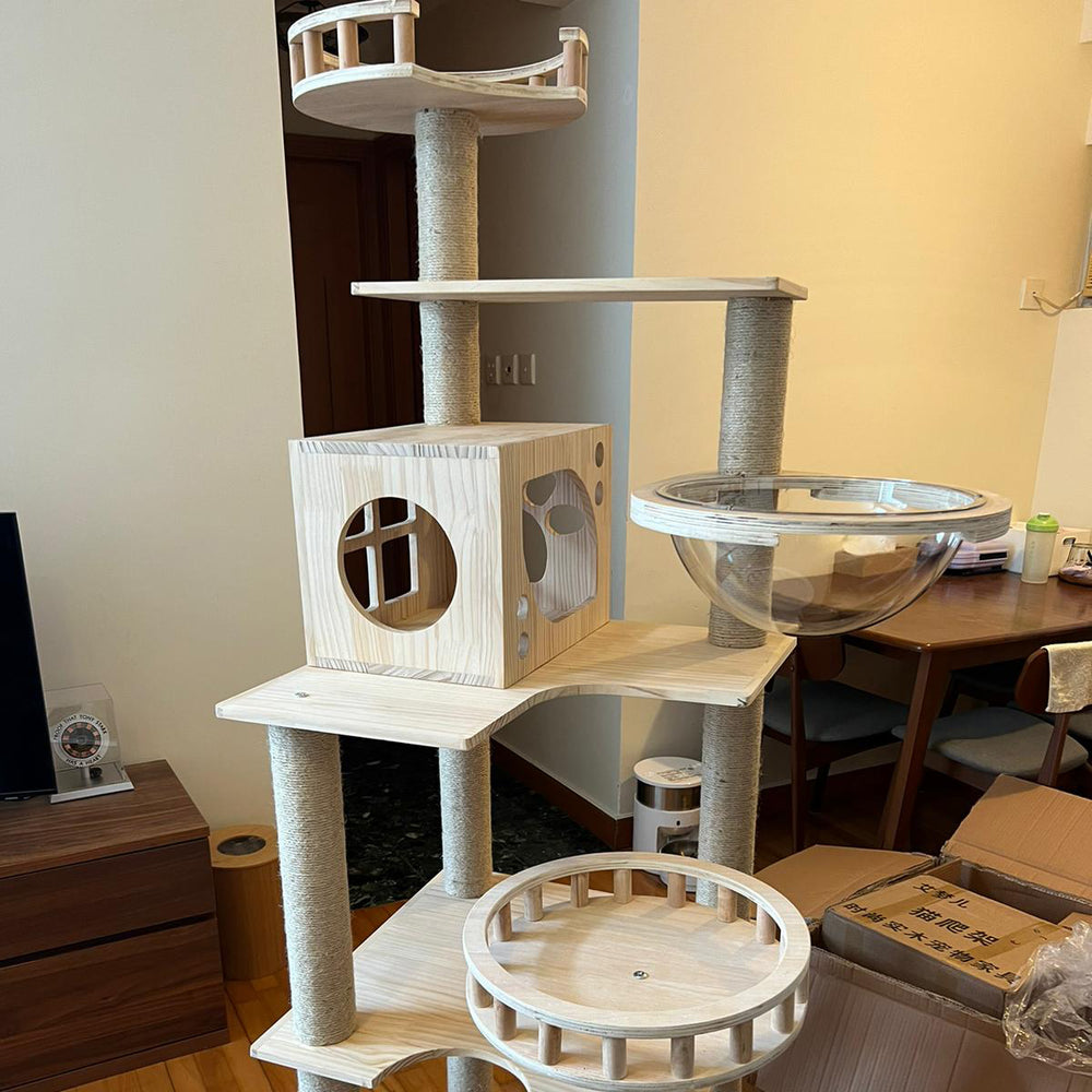 Pets Thing pet furniture installation example 12