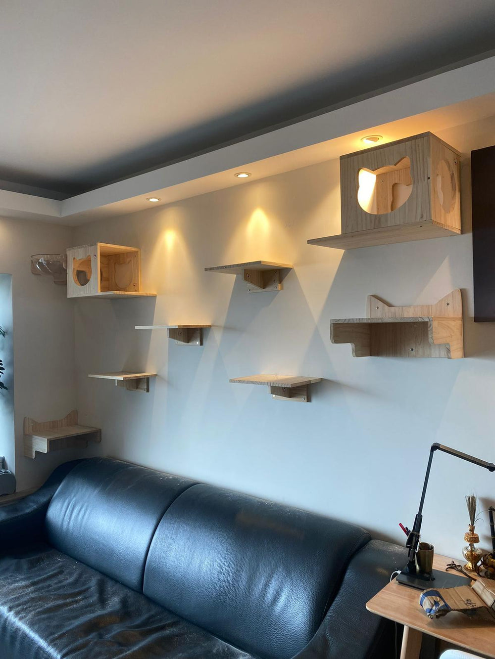 Pets Thing pet furniture installation example 2
