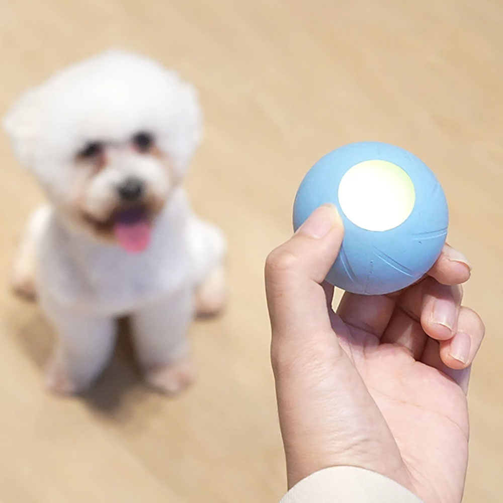 Cheerble Ice Cream Ball M2 電動智能寵物訓練玩具球-貓狗-毛孩物語Pets Thing｜香港寵物貓狗用品專門店：IATA寵物飛機籠、寵物手推車、貓爬架貓樹