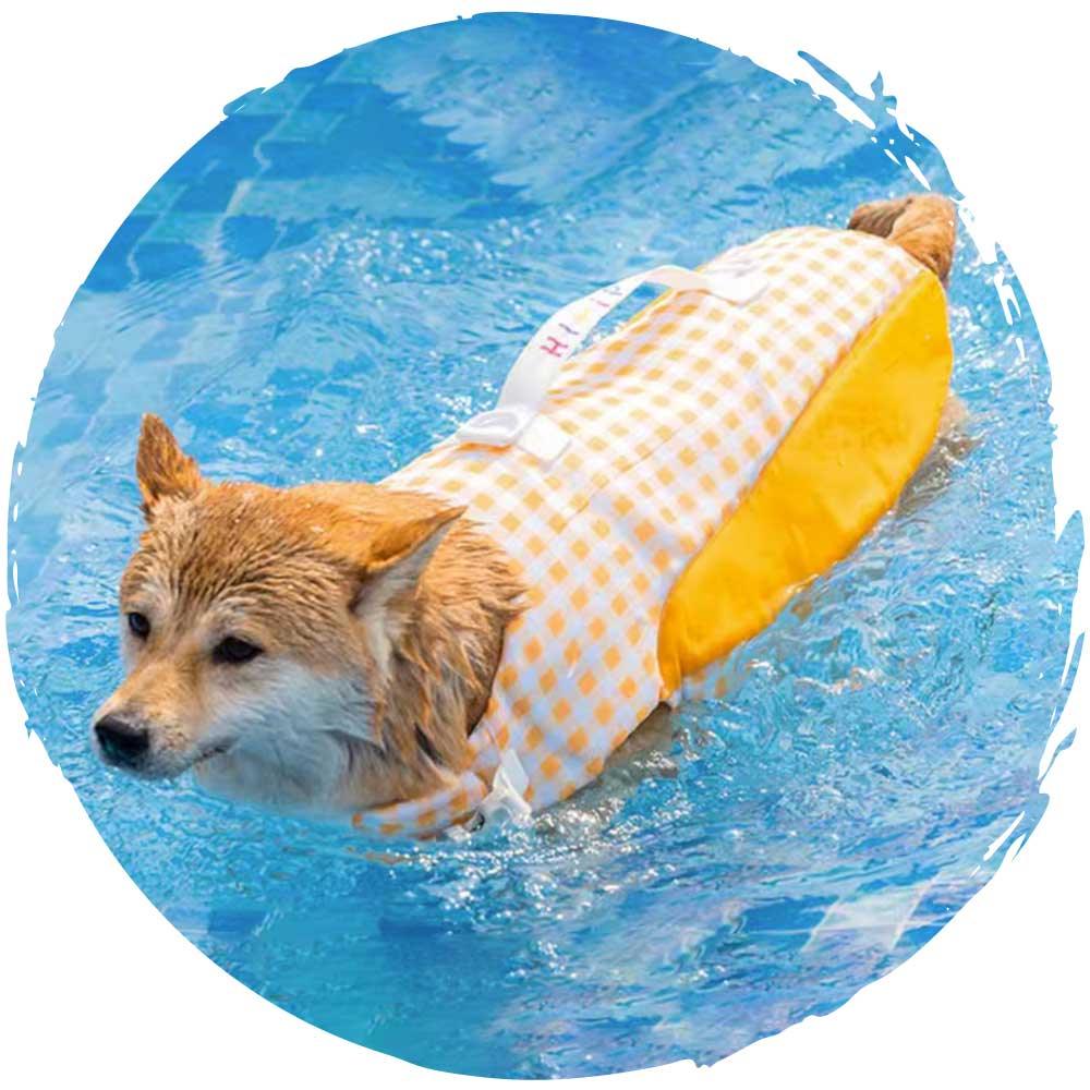 hipipet🏊‍♂️夏季狗狗玩水游泳可愛格仔小型狗狗泳衣(藍色)-狗-毛孩物語Pets Thing｜香港寵物貓狗用品專門店：IATA寵物飛機籠、寵物手推車、貓爬架貓樹